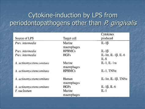 Exploring LPs: The Role